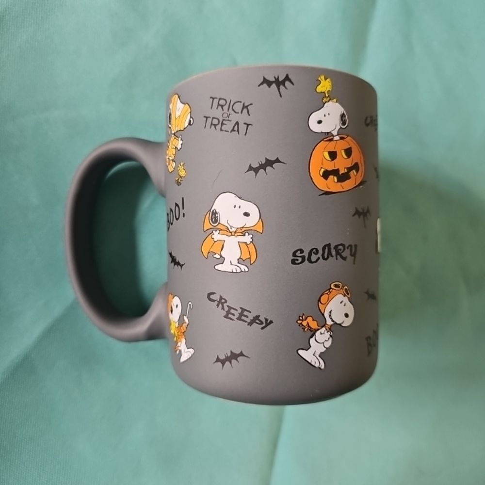 Peanuts Halloween Gray Mug